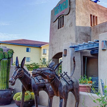What are the famous restaurants in Tucson?